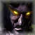 samuraidsr
